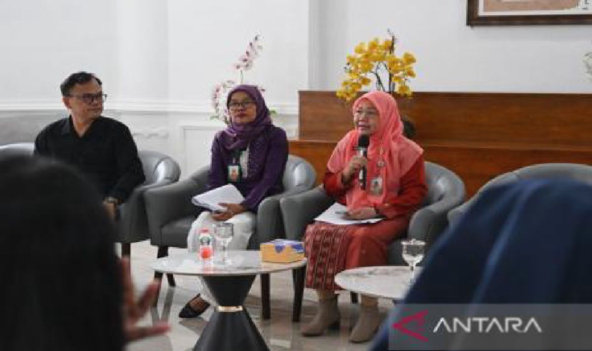 RSJ M Ildrem Sumut Luncurkan Telekonseling Digital dan Rehabilitasi Rawat Jalan