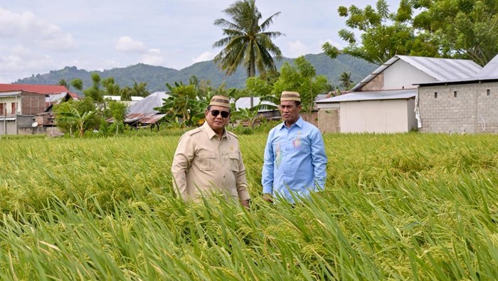Prabowo: Tak Lama Lagi Kita Jadi Lumbung Padi Dunia