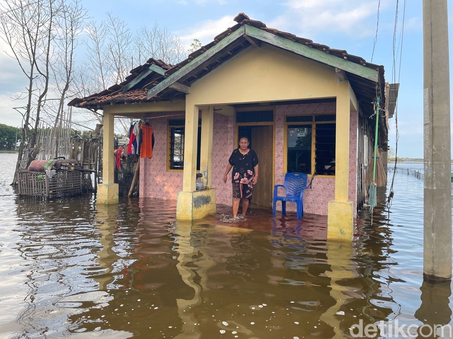 Warkini.com, Pati — Genangan air laut pasang atau banjir rob yang telah merendam permukiman warga Desa Tunggulsari, Ke