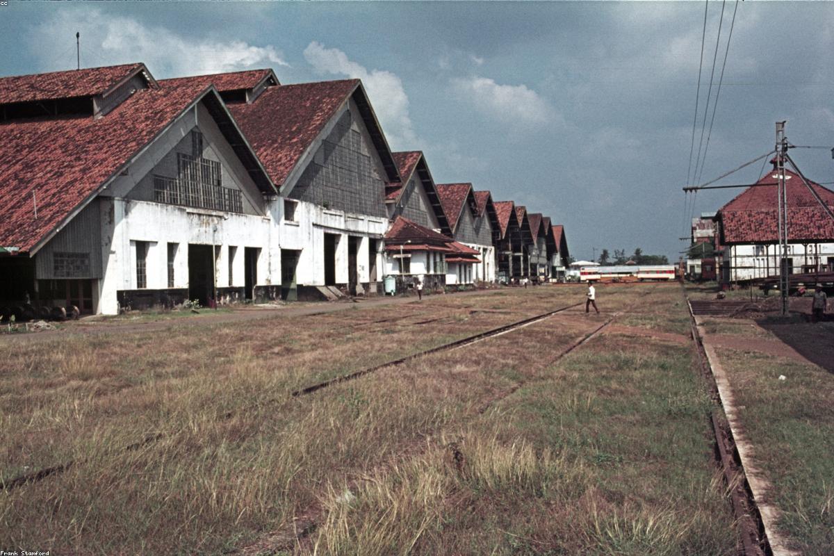 Kopi Kintamani: Perpaduan Unik Kopi Arabika dan Aroma Jeruk Khas Dataran Tinggi Bali