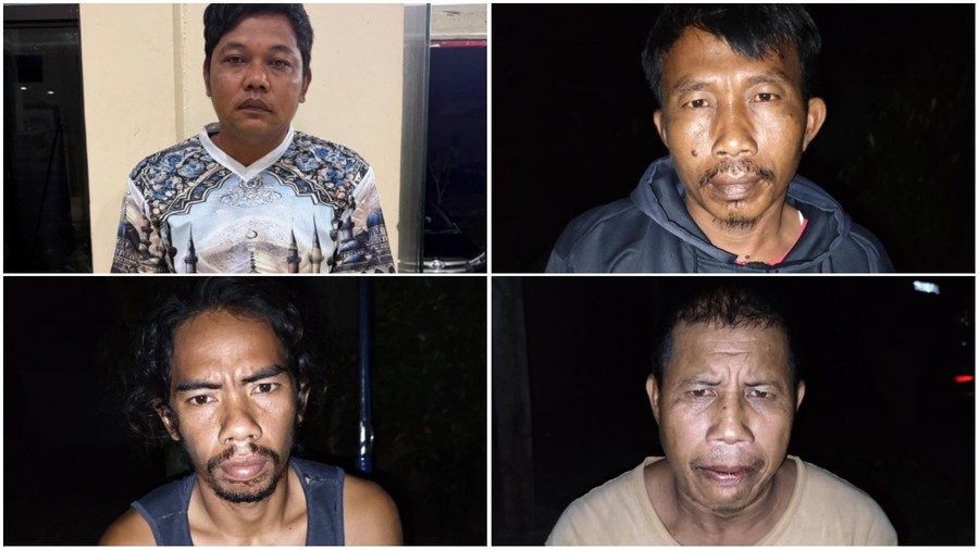 Asal-usul Tapir yang Keliaran di Lampung hingga Dimasak Warga Jadi Rica-rica