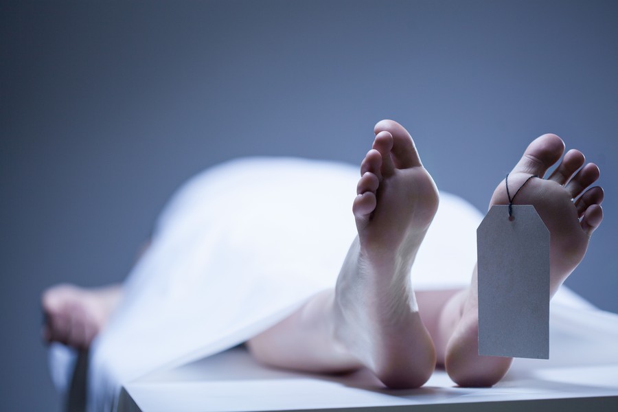 Wanita Muda di Bogor Ditemukan Tewas Tergantung di Pohon