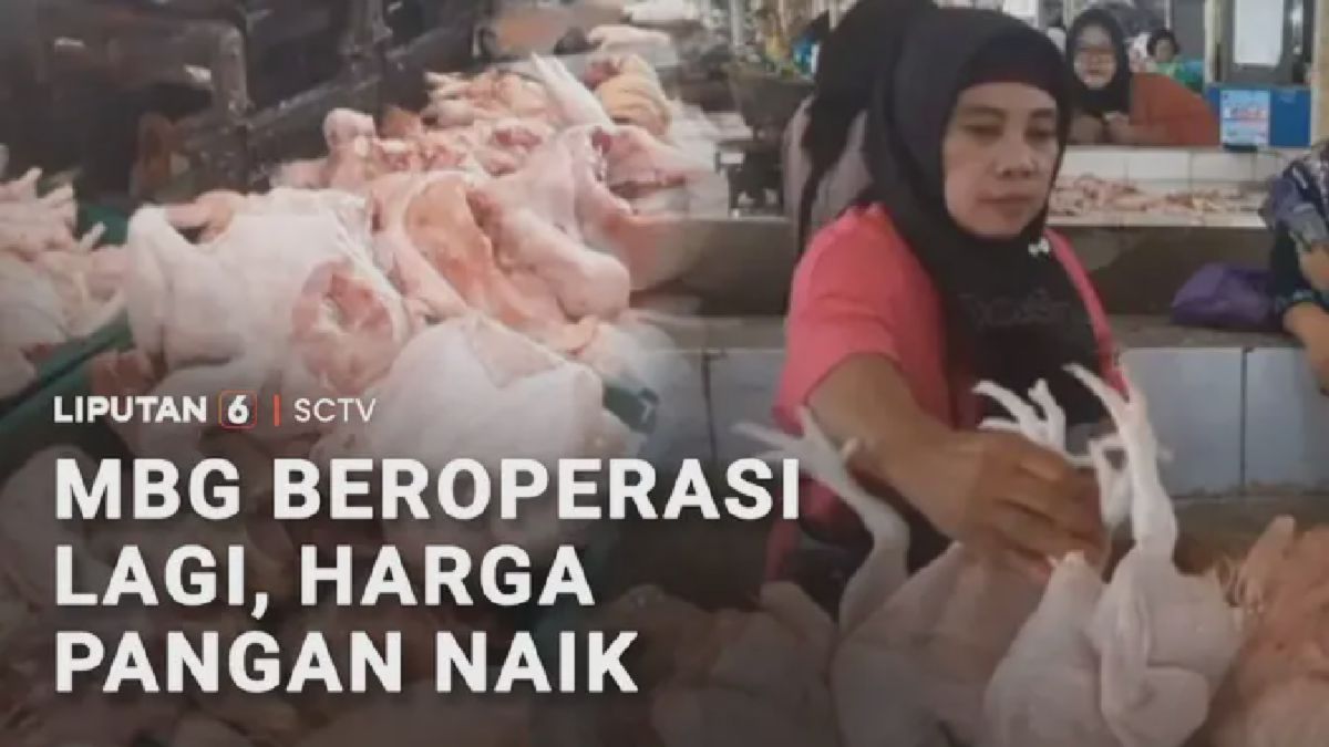 MBG Kembali Beroperasi, Harga Pangan Merangkak Naik