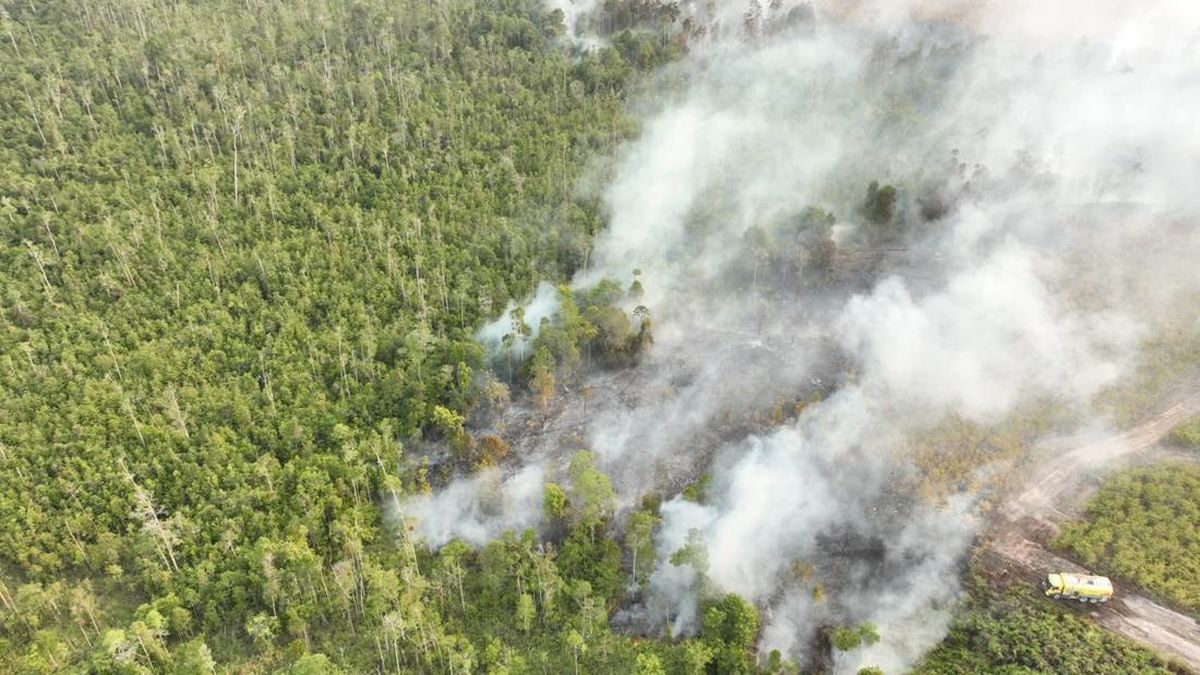 Bukan Cuma El Nino, Ini Penyebab Kebakaran Bertubi-tubi Hantam RI