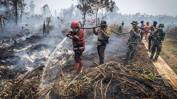 Update Terkini Karhutla di Berbagai Wilayah Indonesia