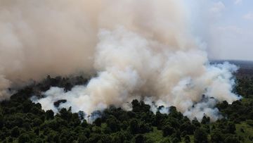 Menhut Klaim Hotspot Kalbar Turun Jadi 28 Titik, Asap Belum Hilang